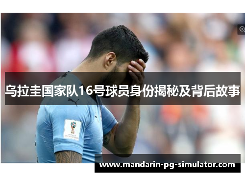 乌拉圭国家队16号球员身份揭秘及背后故事