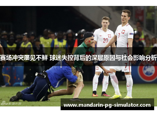 赛场冲突屡见不鲜 球迷失控背后的深层原因与社会影响分析