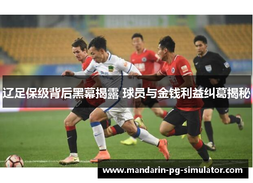 辽足保级背后黑幕揭露 球员与金钱利益纠葛揭秘