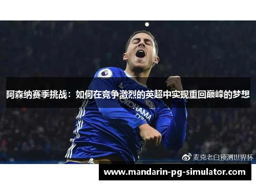 阿森纳赛季挑战:如何在竞争激烈的英超中实现重回巅峰的梦想 阿森纳赛季挑战:如何在竞争激烈的英超中实现重回巅峰的梦想