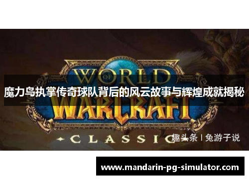 魔力鸟执掌传奇球队背后的风云故事与辉煌成就揭秘