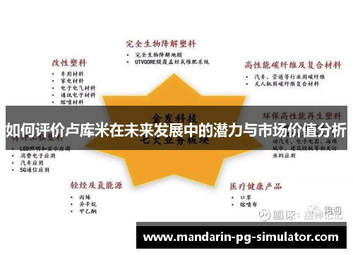 如何评价卢库米在未来发展中的潜力与市场价值分析 如何评价卢库米在未来发展中的潜力与市场价值分析