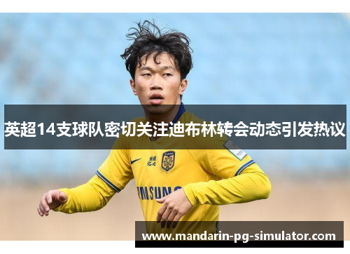 英超14支球队密切关注迪布林转会动态引发热议