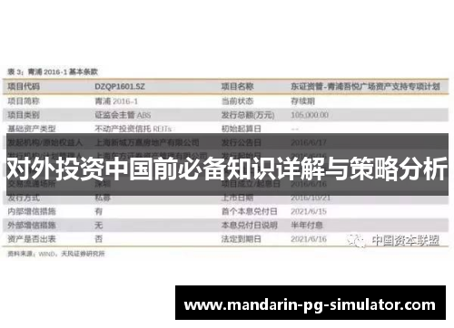 对外投资中国前必备知识详解与策略分析