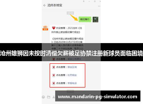 沧州雄狮因未按时清偿欠薪被足协禁注册新球员面临困境