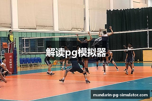 解读pg模拟器